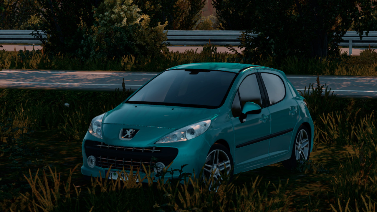Peugeot 207 RC